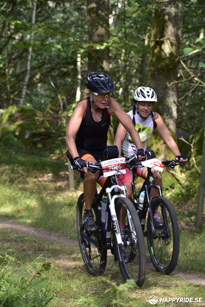 Bild från Bockstensturen 2019